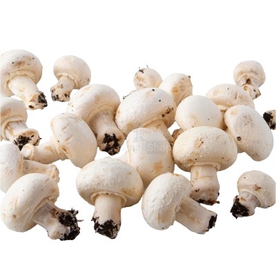 Шампиньоны свежие 500 г - купить в Седяше